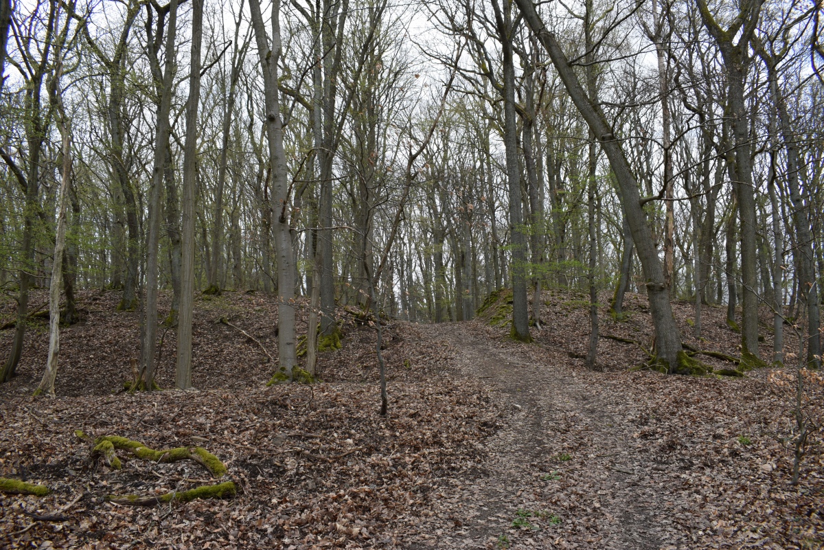 Click for full size image of Alte Schanz Ohligs-Berg (PID:257017) Alte Schanz Ohligs-Berg