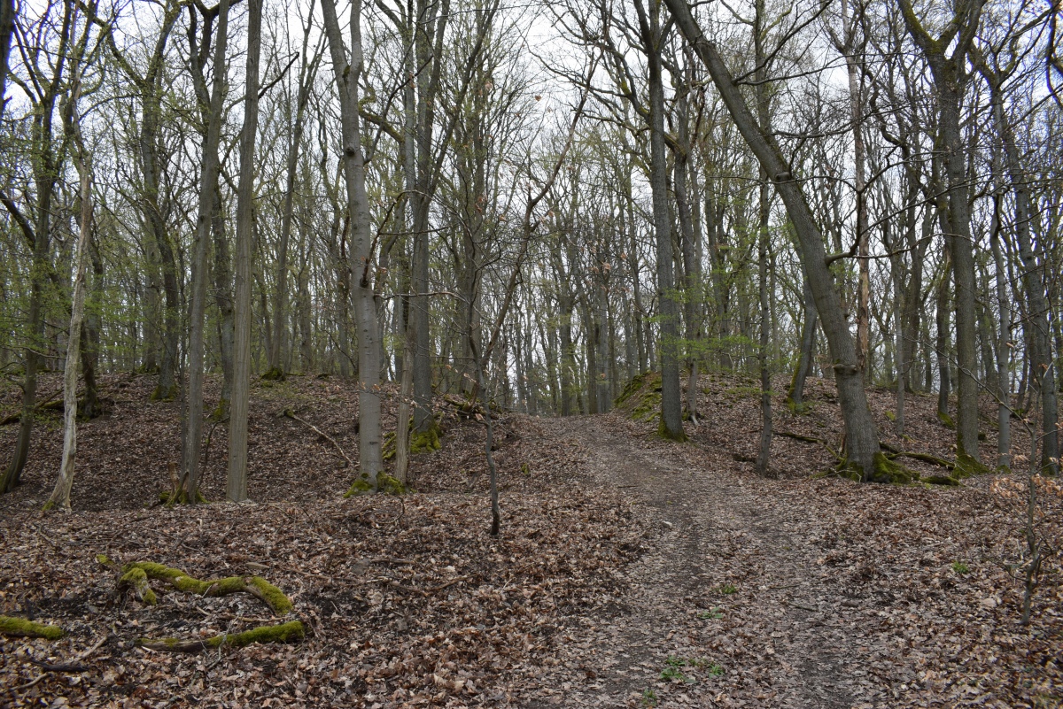 Alte Schanz Ohligs-Berg