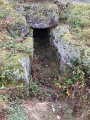 Click for full size image of Strotzbüscher Tumm (PID:173050) Strotzbüscher Tumm