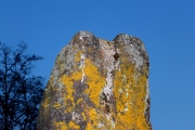 Lange Stein von Obersaulheim