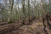 Click for full size image of Alte Schanz Ohligs-Berg (PID:257015) Alte Schanz Ohligs-Berg
