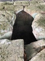 Click for full size image of Strotzbüscher Tumm (PID:173054) Strotzbüscher Tumm