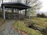 Click for full size image of Strotzbüscher Tumm (PID:173057) Strotzbüscher Tumm