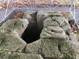 Click for full size image of Strotzbüscher Tumm (PID:173058) Strotzbüscher Tumm