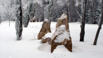 Menhirgruppe am Archäologiepark Belginum