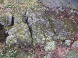 Click for full size image of Strotzbüscher Tumm (PID:173052) Strotzbüscher Tumm
