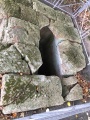 Click for full size image of Strotzbüscher Tumm (PID:173053) Strotzbüscher Tumm