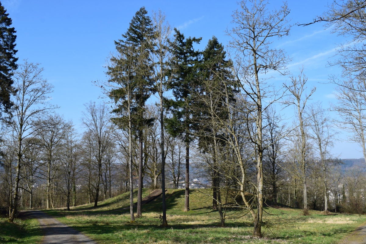 Click for full size image of Franzensknueppchen (PID:286700) Franzensknueppchen
