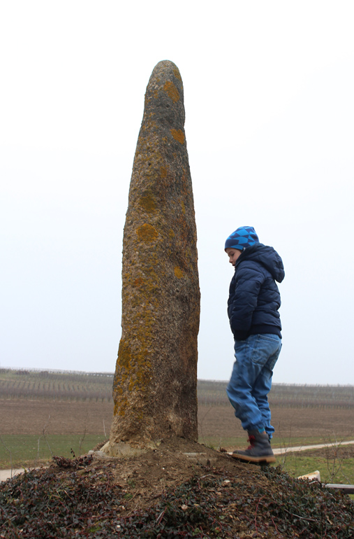 Hinkelstein von Gumbsheim