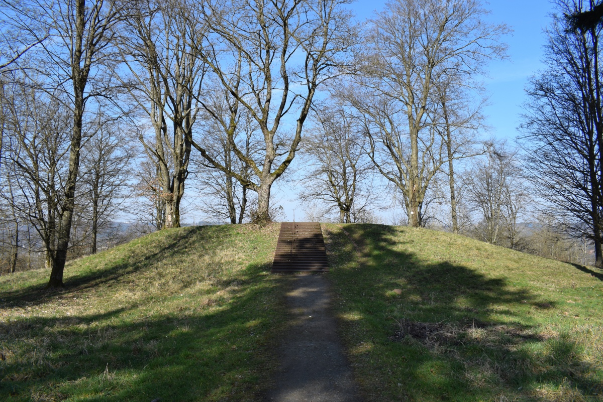 Click for full size image of Franzensknueppchen (PID:286699) Franzensknueppchen
