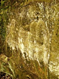 Haensel & Gretel - PID:55444