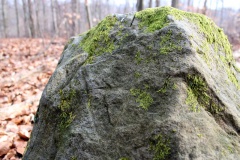 Kohlschlag - PID:105326