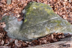 Kohlschlag - PID:105329
