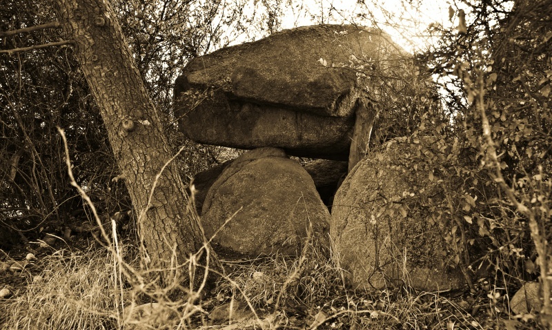 Leetze Steingrab 1