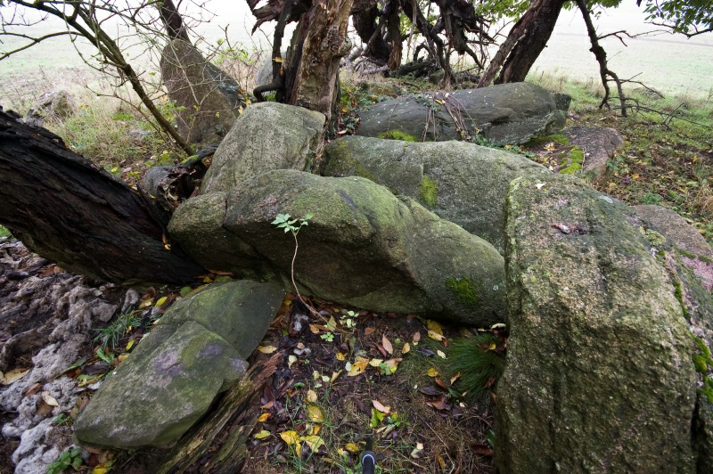 Schadewohl Steingrab 1