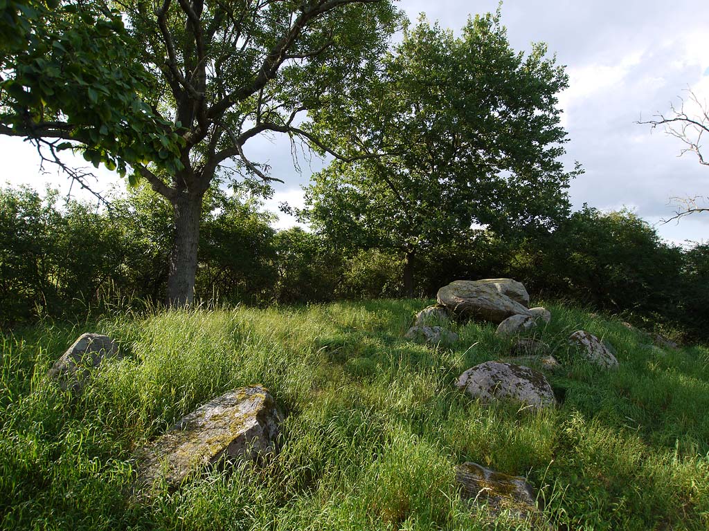 Bretsch Steingrab 2