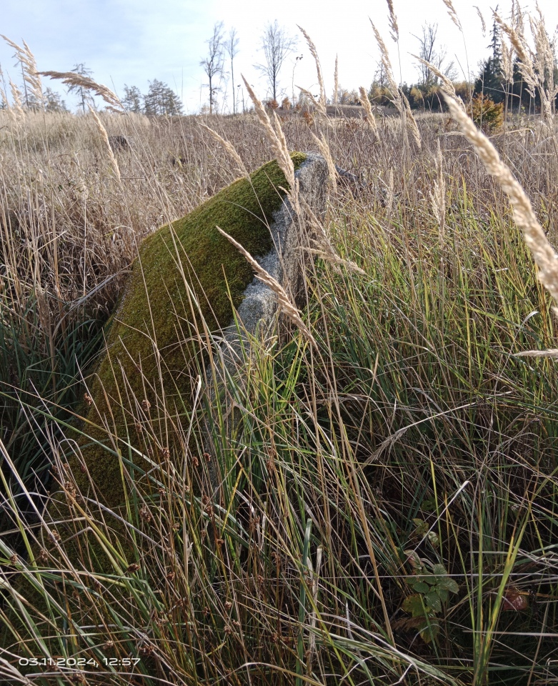 Click for full size image of Sohland Huehnengrab (PID:281003) Sohland Huehnengrab