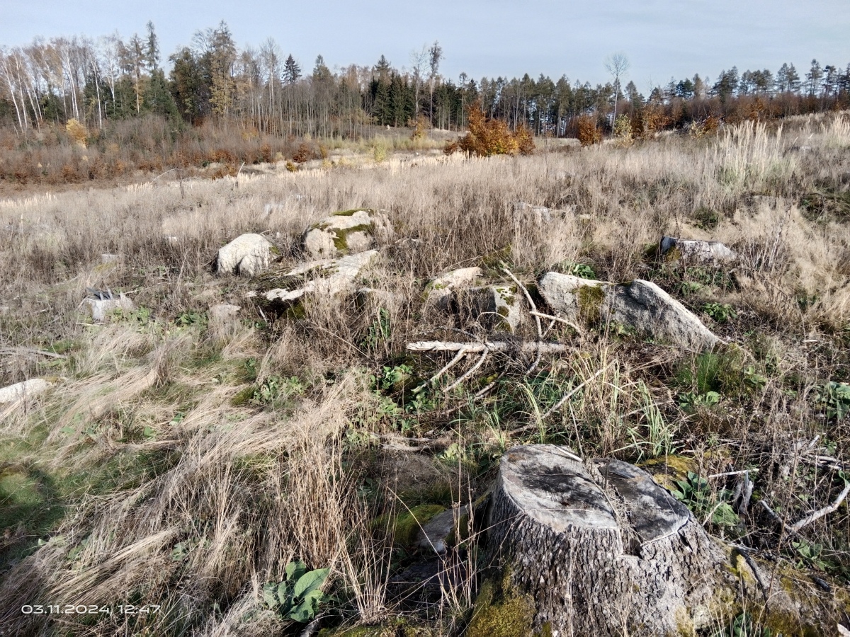 Sohland Huehnengrab (PID:281004) Sohland Huehnengrab