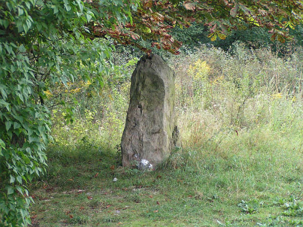 Menhir Blaue Gans