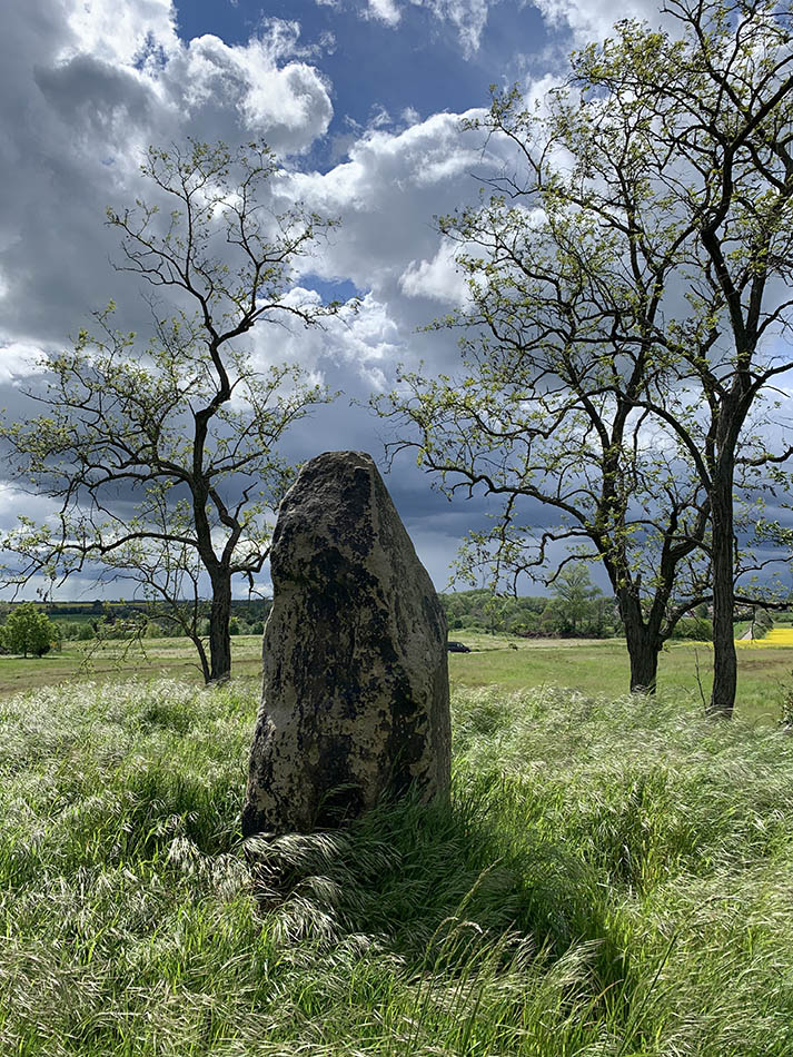 Menhir von Brachstedt