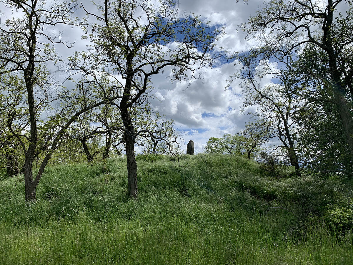 Menhir von Brachstedt