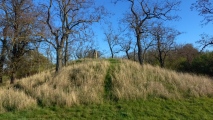 Menhir von Brachstedt