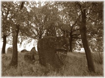 Drebenstedt Langbett - PID:51739