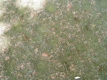 Stoeckheim Steingrab - PID:22234
