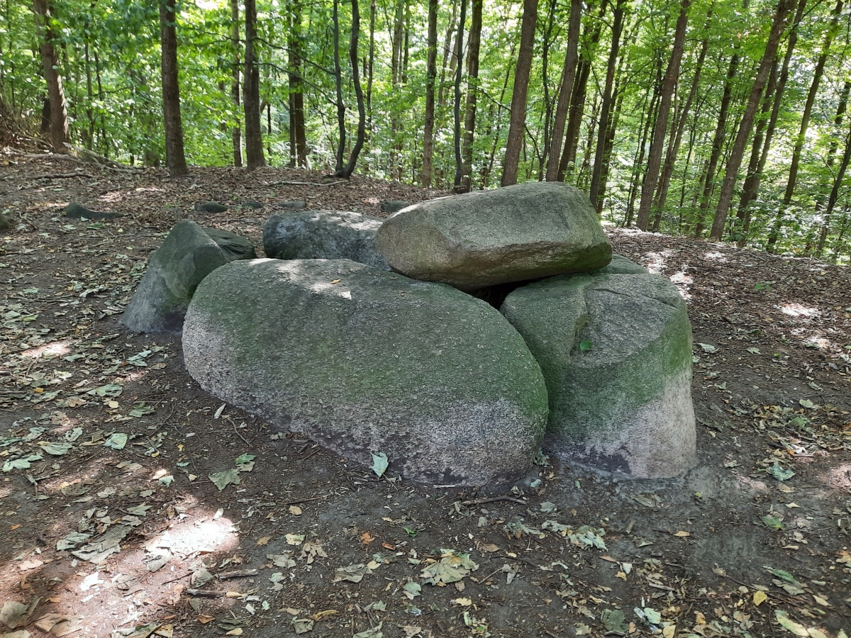 Buedelsdorf Dolmen (1)