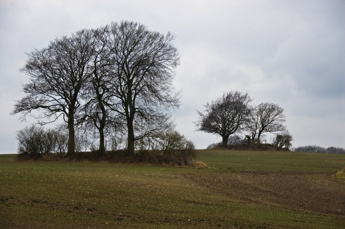 Rotensande Langbett 2