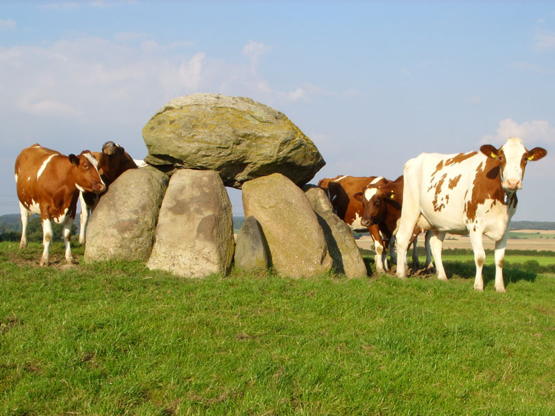 Goosefeld Dolmen