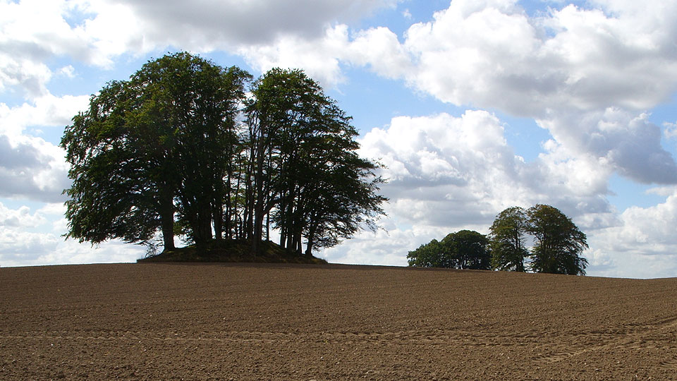 Grabau Grabhuegelgruppe