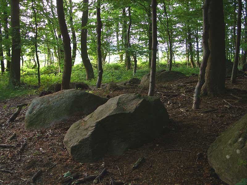 Koehn Megalithgrab