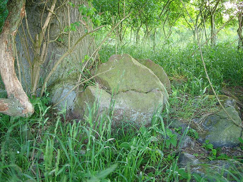 Meischenstorf Steingrab