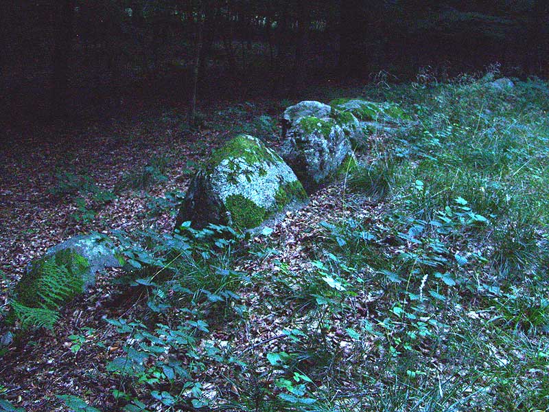 Rehbergholz Langbett 1 (PID:42218) Rehbergholz Langbett 1