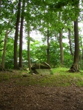 Albersdorf Steingrab (Papenbusch) - PID:32264
