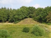 Alt Duvenstedt Huegelgrab 1 - PID:32351