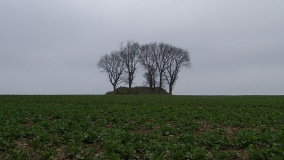 Birkenmoor Huegelgrab (19) - PID:46027