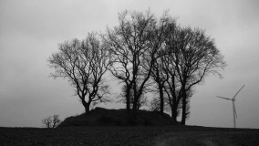 Birkenmoor Huegelgrab (19) - PID:46028