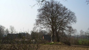 Birkenmoor Langbett (11) - PID:46317