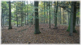 Bohmstedt Huegelgrab - PID:51989