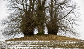 Altenhof Huegelgrab - PID:45514