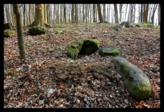 Hemmelmark Steingrab (10) - PID:47331