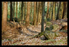 Hemmelmark Steingrab (10) - PID:47330