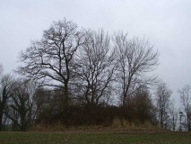Daenisch-Nienhof Huegelgrab 2 - PID:45973