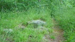 Dobersdorf Langbett 3 - PID:39395