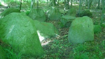 Flehm Steingrab 2
