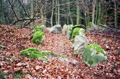 Gowens Steingrab 1 - PID:38588