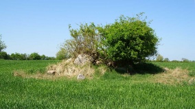 Katharinenhof Steingrab 3 - PID:38903