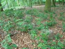Ketelsby Langbett - PID:39811